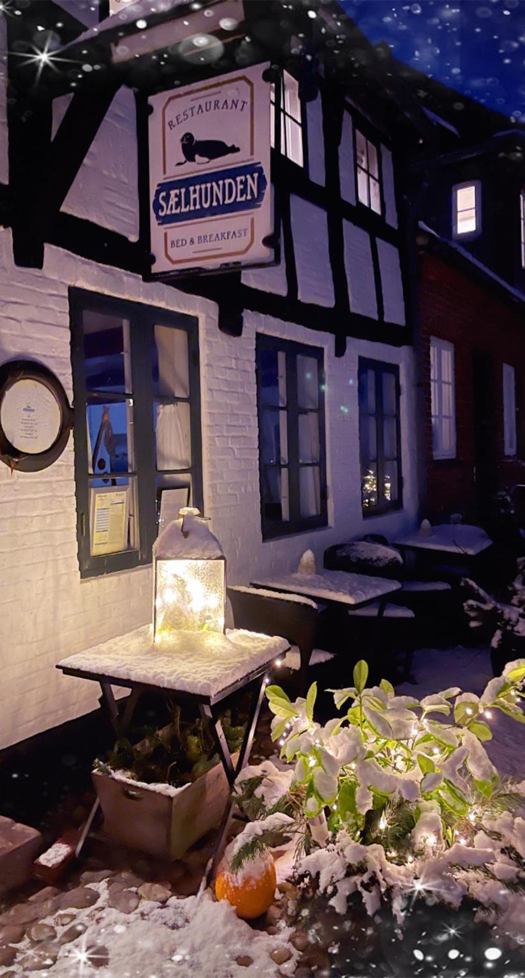 Restaurant Saelhunden Panzió Ribe Kültér fotó