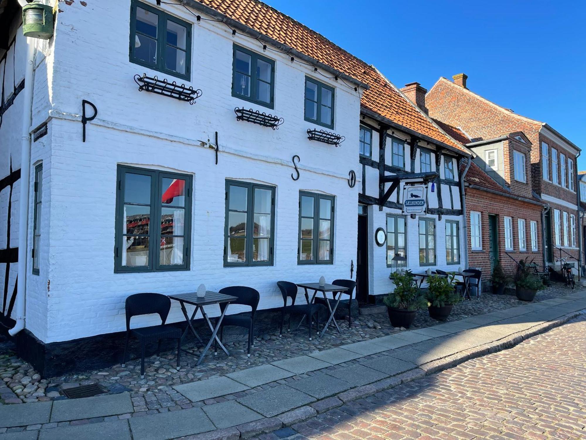 Restaurant Saelhunden Panzió Ribe Kültér fotó